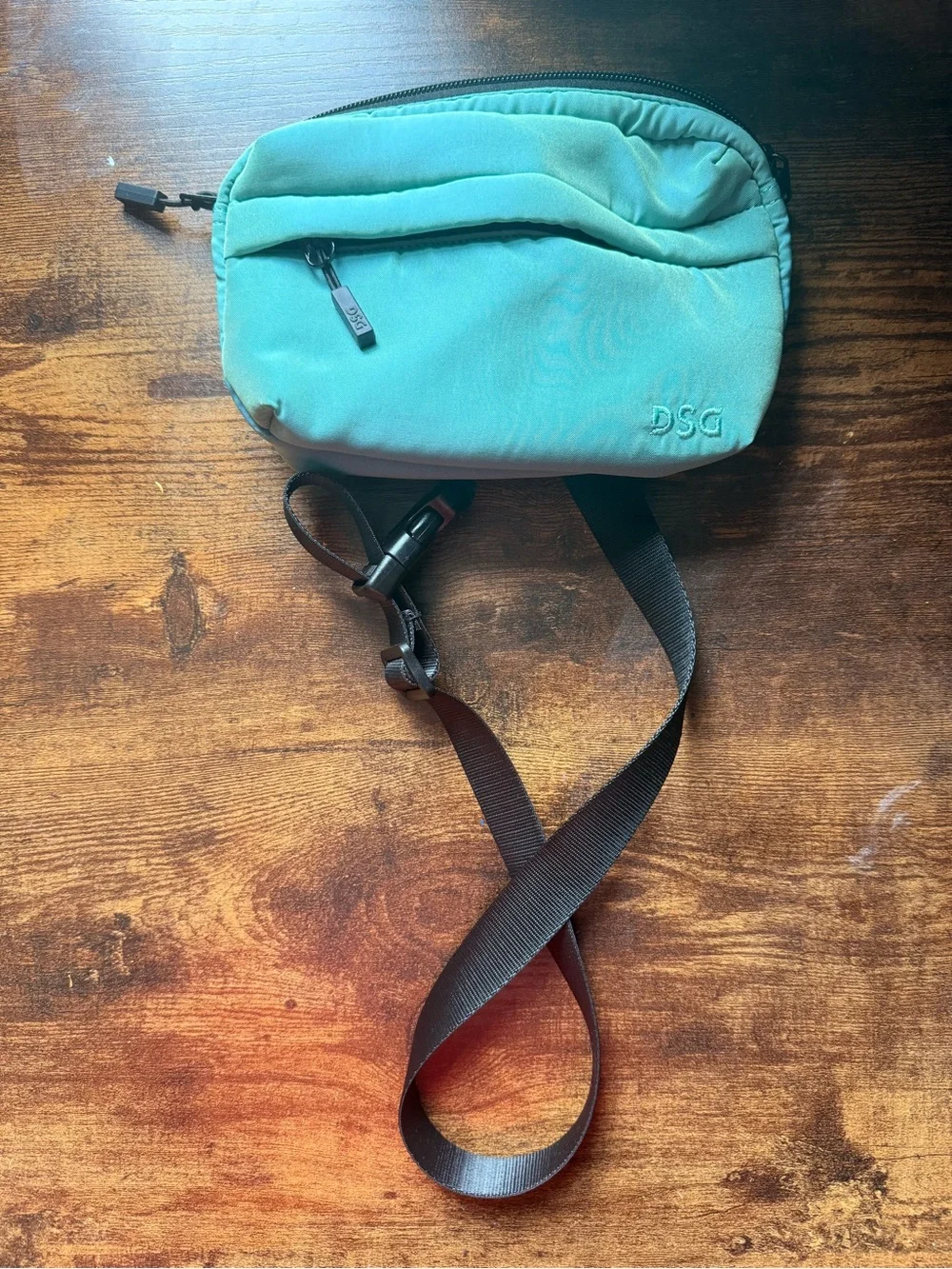 DSG Iridescent Crossbody Bag with Adjustable Strap
